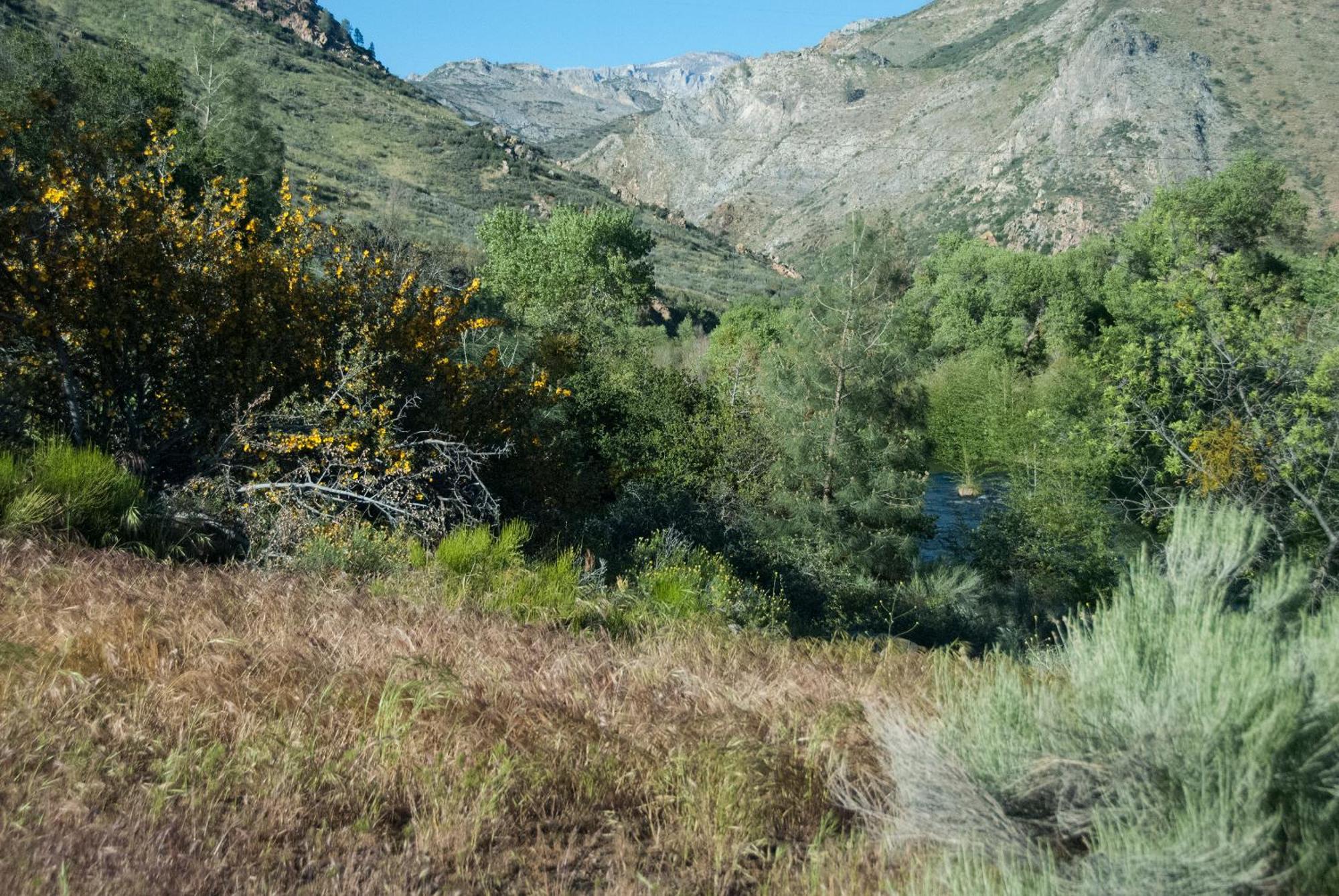 Corral Creek Lodge Кърнвил Екстериор снимка